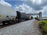 CTCX 735822